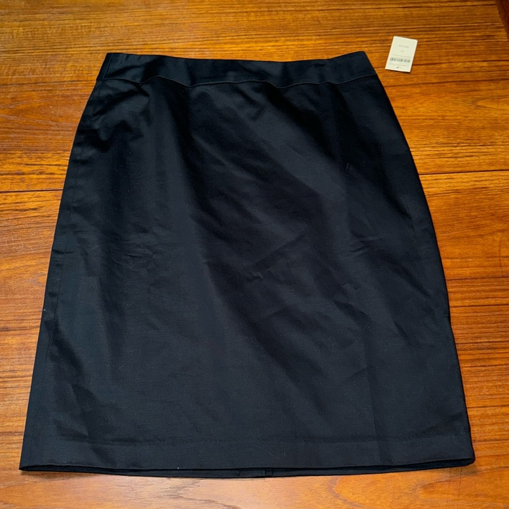 Coldwater Creek Lined Skirt Size 10